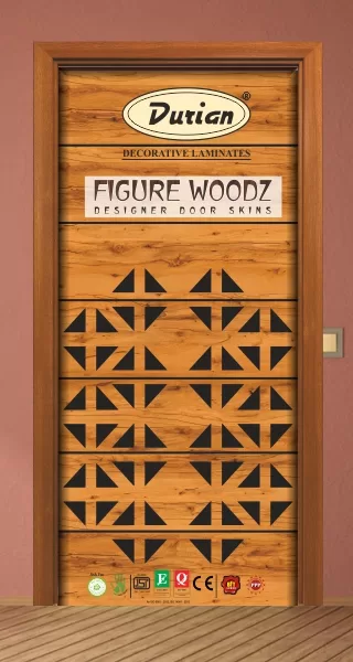 Plywood Door Design: 35+ Elegant door designs trending in 2023