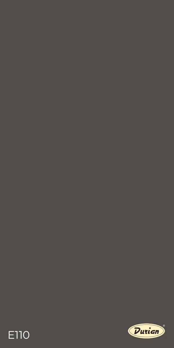 Durian E110 ZK CHARCOAL GREY