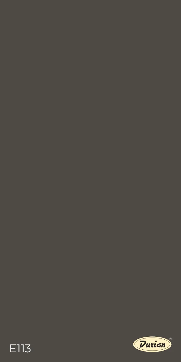 Durian E113 SLATE GREY